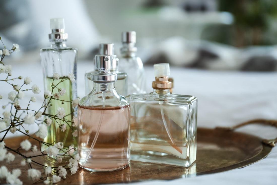Before We Speak: The Language of Scent