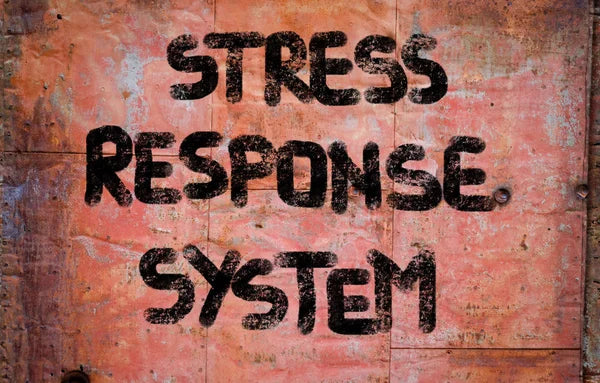 Is Your Cortisol Spiked and You Don’t Even Know It?